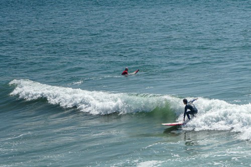 A surfer rides a wave while another person swims nearby in the ocean.