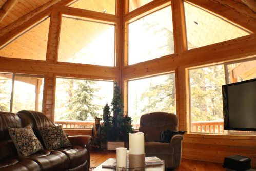 Cozy cabin interior with large windows, wooden walls, a sofa, and a Christmas tree in a forested setting.