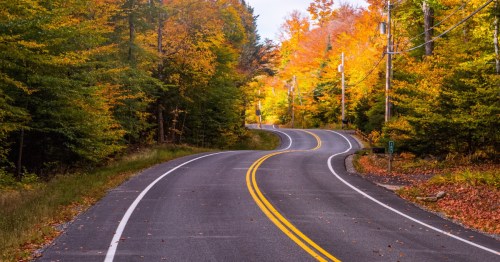 A windy road is surrounded by vibrant fall foliage in New York State.