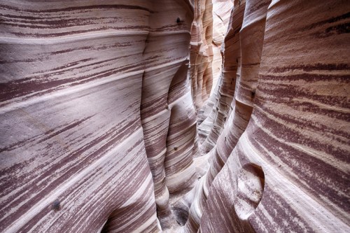 A narrow canyon with colorful, swirling rock formations and smooth, layered walls.