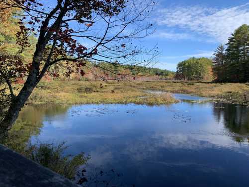 A serene landscape featuring a calm river, trees with autumn foliage, and a clear blue sky reflecting on the water.