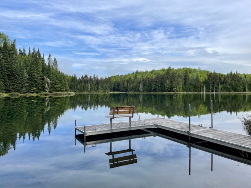 A serene lake scene with a wooden dock and bench, surrounded by lush green trees under a blue sky.