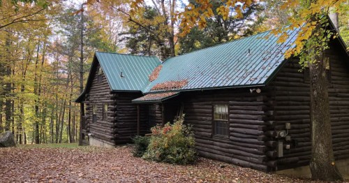 A rustic log cabin with a green metal roof, surrounded by autumn foliage and fallen leaves on the ground.