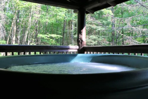 A hot tub on a porch surrounded by lush green trees in a serene forest setting.