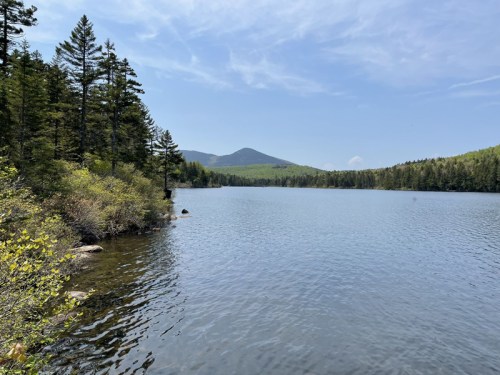 A serene lake surrounded by lush green trees and mountains under a clear blue sky.