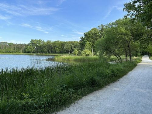 A serene lakeside path surrounded by lush greenery and trees under a clear blue sky.