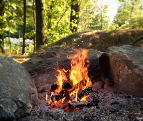 A vibrant campfire burns among rocks, surrounded by lush greenery and trees in a serene outdoor setting.