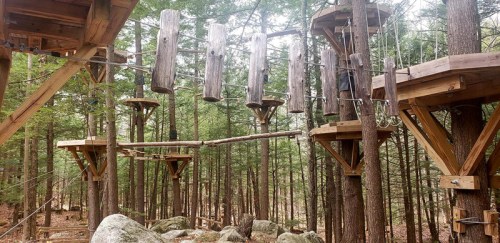 A wooden ropes course suspended between trees, featuring logs and platforms in a forested area.