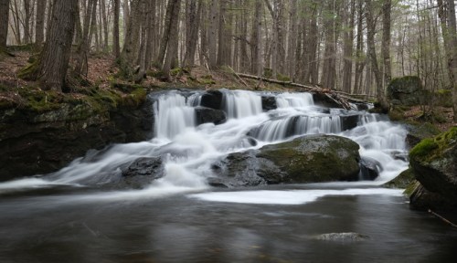 A serene forest scene featuring a cascading waterfall over rocks, surrounded by trees and lush greenery.