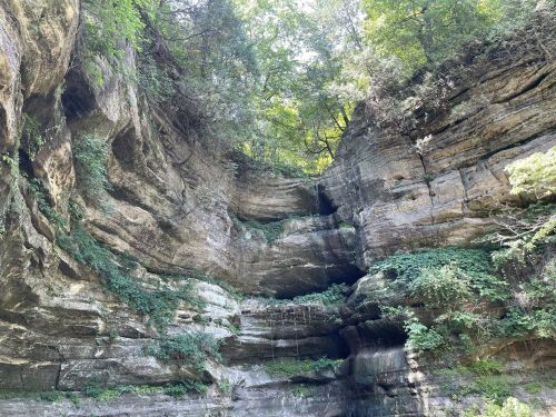 A rocky cliff surrounded by lush greenery, with water trickling down the stone surface. Sunlight filters through the trees.