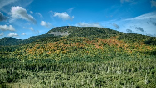 A panoramic view of a forested mountain landscape with vibrant autumn foliage under a blue sky with scattered clouds.