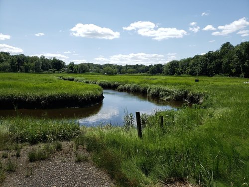 A serene landscape featuring a winding stream surrounded by lush green grass and trees under a blue sky with clouds.