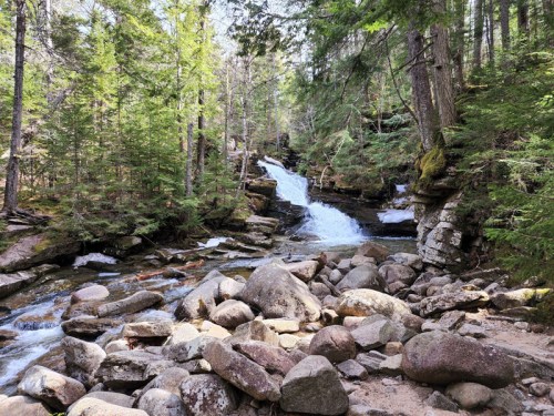 A serene forest scene featuring a flowing stream and rocky terrain, surrounded by lush green trees.
