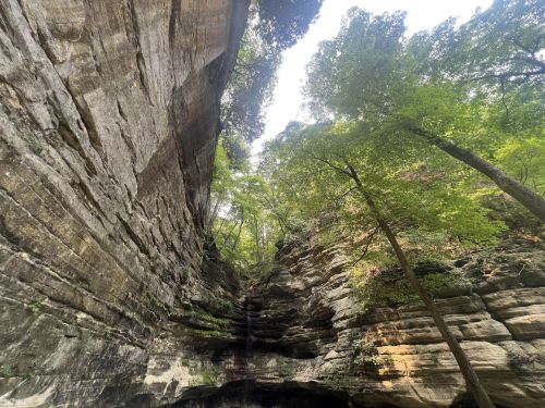 A towering rock formation surrounded by lush green trees and a small waterfall in a serene canyon.