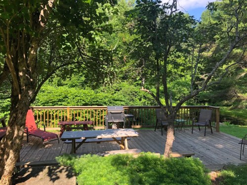 A wooden deck surrounded by trees, featuring a grill, picnic table, and chairs, set in a lush green landscape.