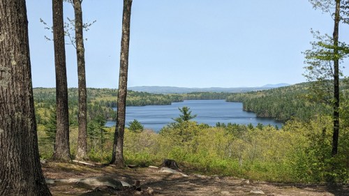 A serene lake surrounded by lush greenery and trees under a clear blue sky.