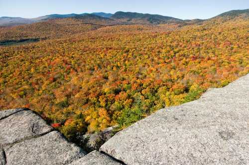 A panoramic view of vibrant autumn foliage covering rolling hills and valleys under a clear blue sky.