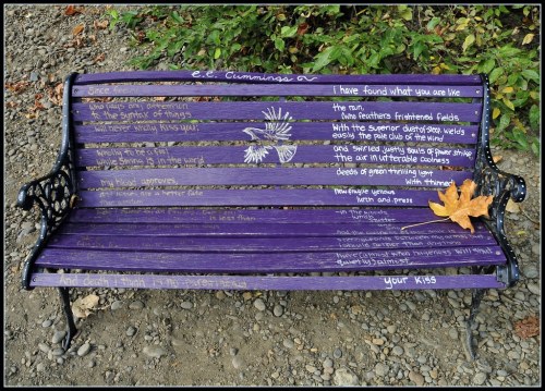 A purple bench with a poem by E.E. Cummings, surrounded by greenery and a fallen leaf on the seat.