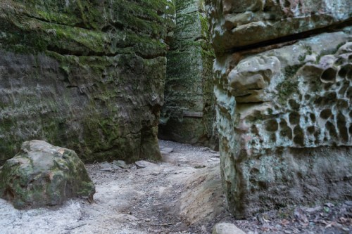 A narrow, moss-covered canyon with rocky walls and a sandy path leading through it.