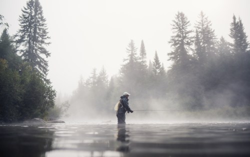 A person fishing in a misty river surrounded by tall trees, creating a serene and tranquil atmosphere.