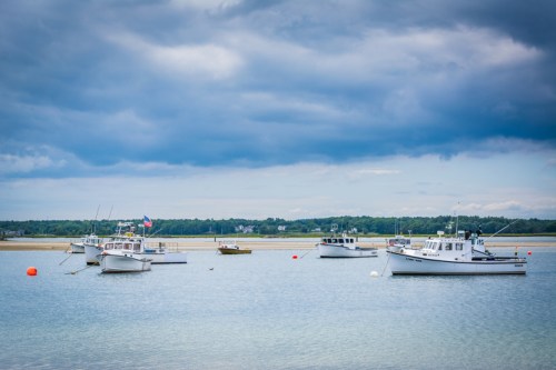 A serene harbor scene with several fishing boats anchored under a cloudy sky.