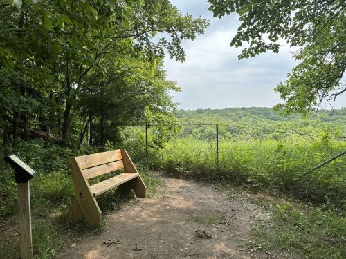 A wooden bench overlooks a lush green landscape, surrounded by trees and a cloudy sky.