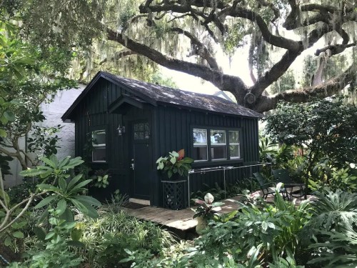 A small dark green shed surrounded by lush greenery and trees, with a wooden walkway leading to the entrance.