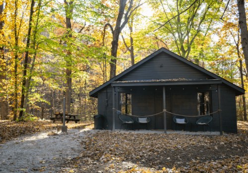 A cozy black cabin surrounded by vibrant autumn trees and fallen leaves, with chairs on the porch.