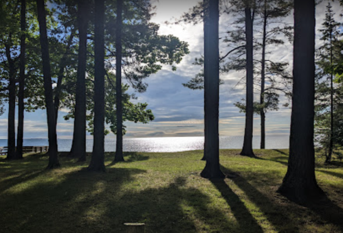A serene lakeside view framed by tall trees, with sunlight reflecting on the water and a cloudy sky above.