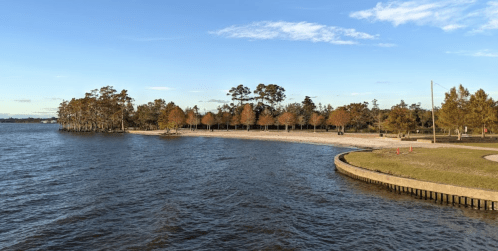 A serene waterfront scene with trees and a sandy beach under a clear blue sky.