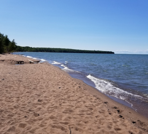 A sandy beach with gentle waves lapping at the shore, surrounded by green trees under a clear blue sky.