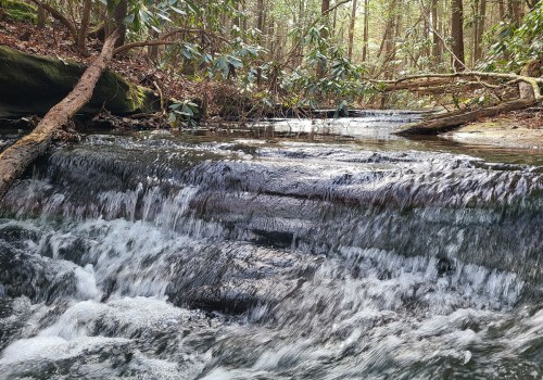 A serene forest scene featuring a small waterfall cascading over rocks, surrounded by lush greenery and trees.