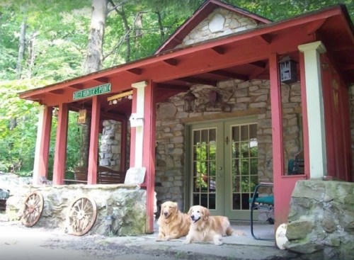 A cozy stone cabin with a red porch, surrounded by trees, featuring two golden retrievers sitting in front.