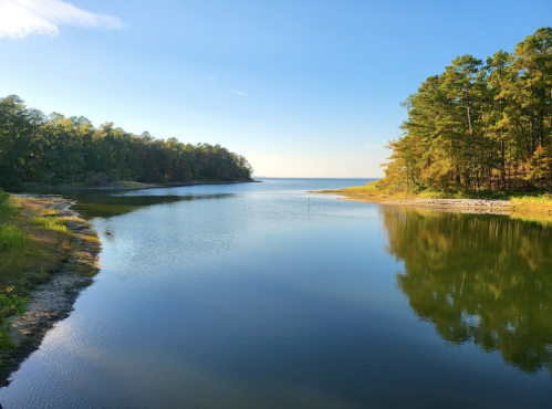 A serene river scene with calm water reflecting trees and a clear blue sky.