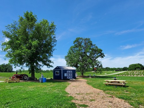 A blue shed surrounded by trees and picnic tables on a sunny day, with a tractor nearby and fields in the background.