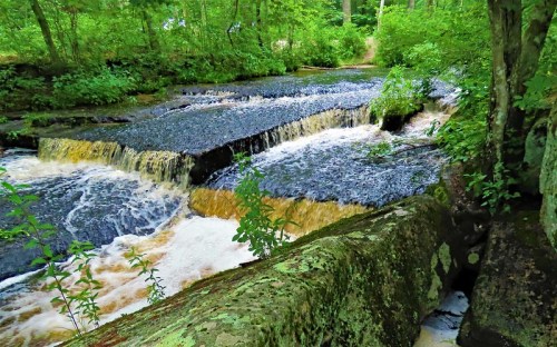A serene stream flows over rocky ledges, surrounded by lush green foliage and trees.