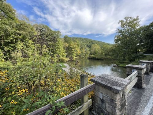 A serene landscape featuring a pond surrounded by trees and wildflowers under a blue sky with fluffy clouds.