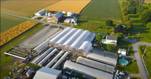 Aerial view of a farm with greenhouses, fields, and various buildings surrounded by crops and trees.