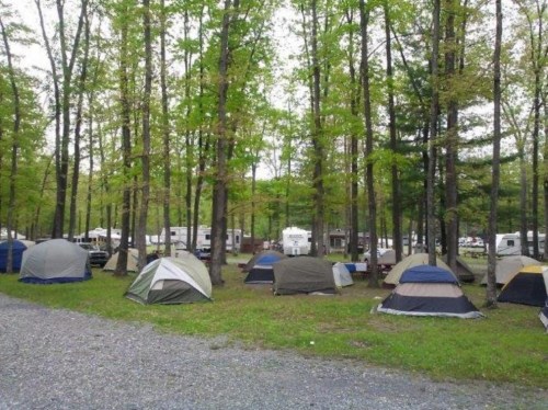 A campsite with several tents set up among green trees, with RVs visible in the background.