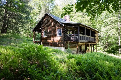 A rustic log cabin surrounded by lush green ferns and trees in a serene forest setting.