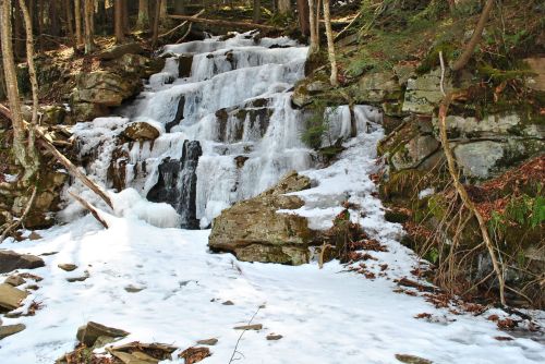 A frozen waterfall cascading over rocks, surrounded by snow and trees in a serene forest setting.