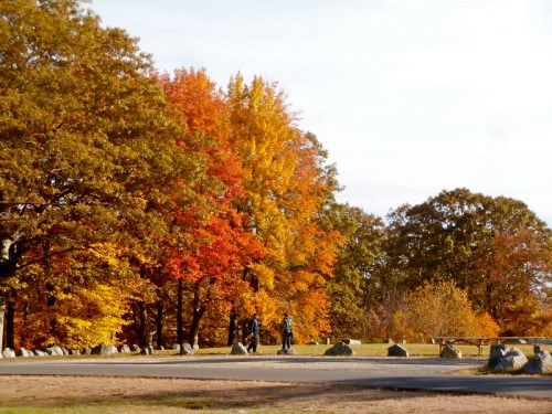 Two people walk along a path surrounded by vibrant autumn trees with orange and yellow leaves.