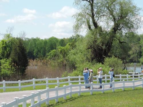 A group of people stands on a path near a lake, surrounded by greenery and a white fence under a blue sky.
