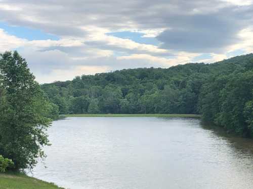 A serene river surrounded by lush green trees under a cloudy sky.