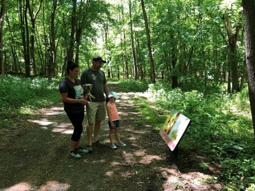 A family with a dog stands on a forest path, looking at a sign surrounded by lush greenery.