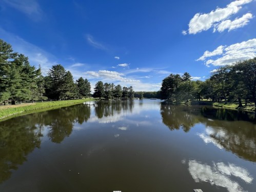 A serene lake surrounded by trees, reflecting a clear blue sky with fluffy clouds.