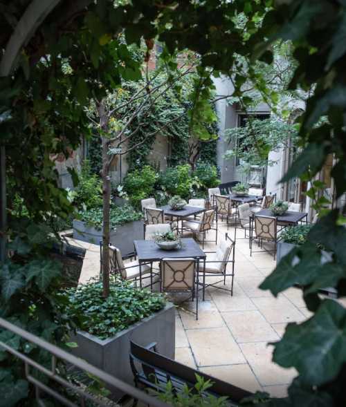 A serene outdoor courtyard with tables surrounded by lush greenery and potted plants.