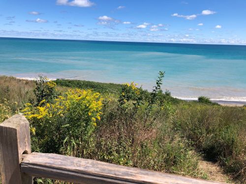 A scenic view of a beach with turquoise water, green vegetation, and yellow flowers under a blue sky with clouds.