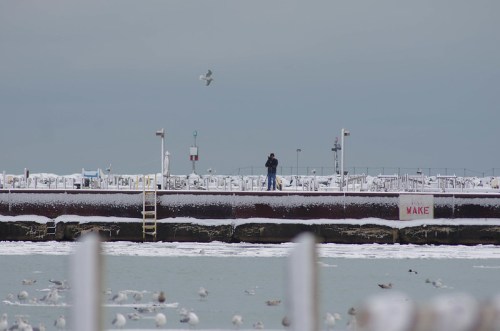 A person stands on a snowy pier, surrounded by water and seagulls, with a cloudy sky overhead.