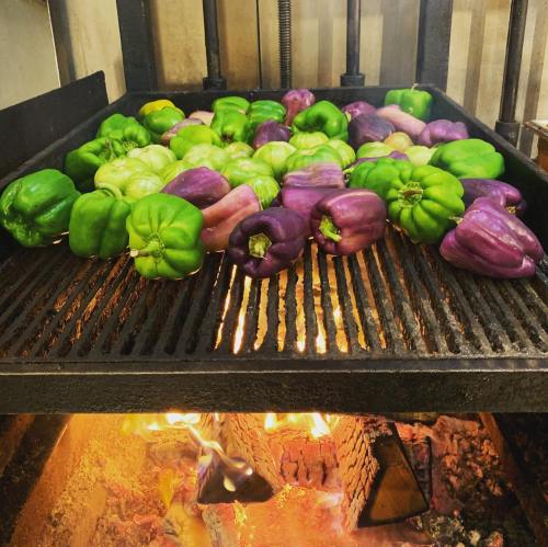Grilled green and purple bell peppers on a barbecue grill, with flames visible underneath.